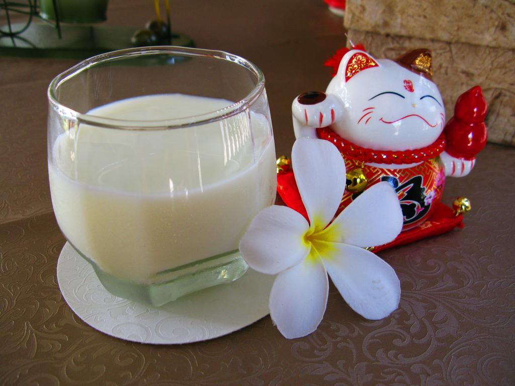 Cshouse Otel Chiang Mai Dış mekan fotoğraf