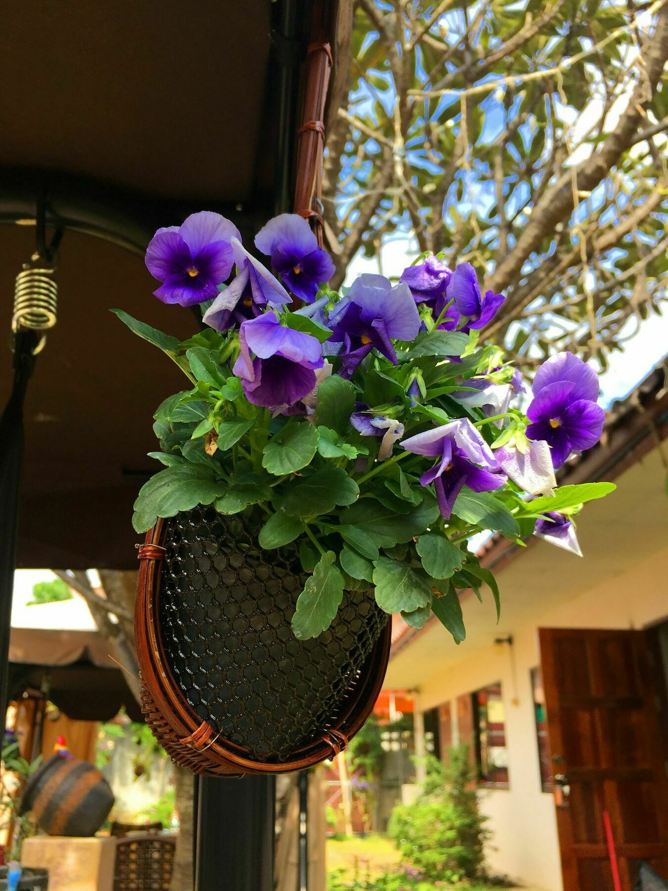 Cshouse Otel Chiang Mai Dış mekan fotoğraf